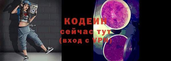 прущие грибы Абинск
