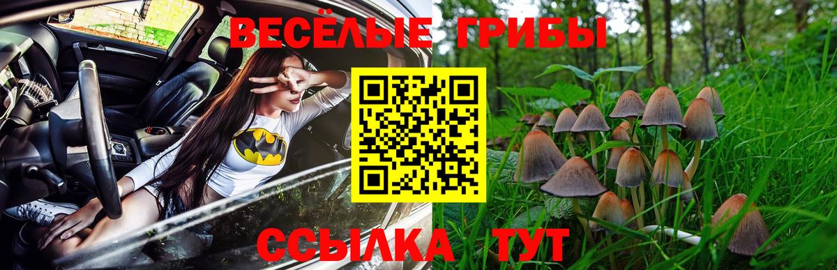 Галлюциногенные грибы GOLDEN TEACHER Губкин